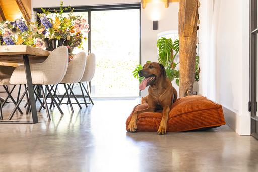 Actual product image Designed by Lotte Ribbed Cushion (Dog)