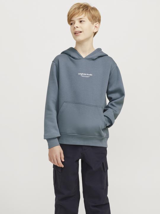 Actual product image Jack & Jones Jorvesterbro Sweat Hood Noos Jnr (164)