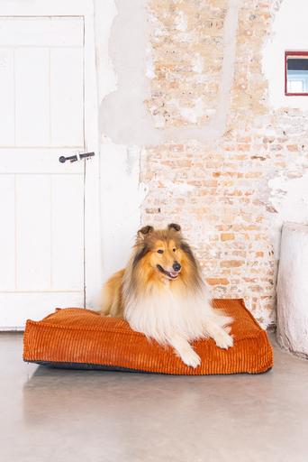 Image du produit Designed by Lotte Coussin de couchage Ribbed (Chien)