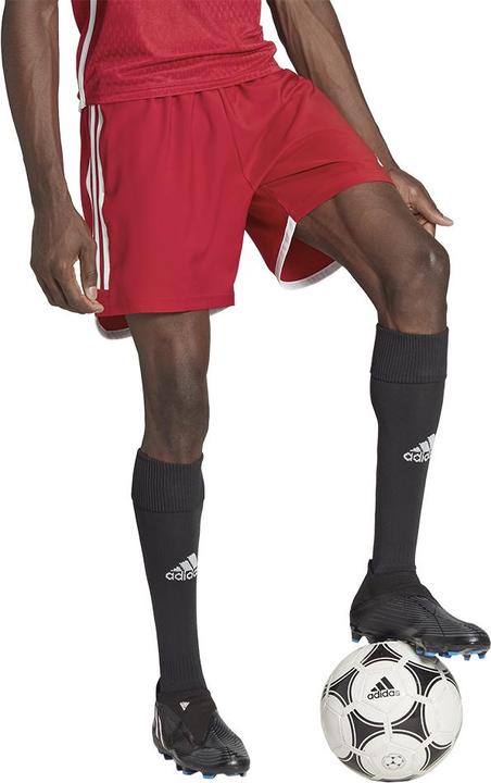 Actual product image adidas Tiro 23 Competition Match training shorts men (XL)