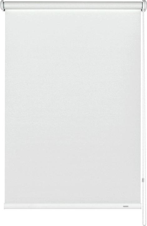 Produktbild Gardinia Seitenzug-Rollo (52 x 180 cm)