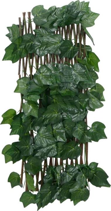 Image du produit VidaXL Odhiambo (190 cm)