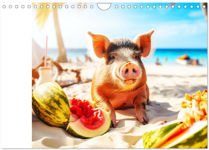 Produktbild Schweinereien in der Karibik. Sonne und Spa mit schwimmenden Schweinen (Wandkalender 2025 DIN A (A4, Kein Einband, Deutsch)