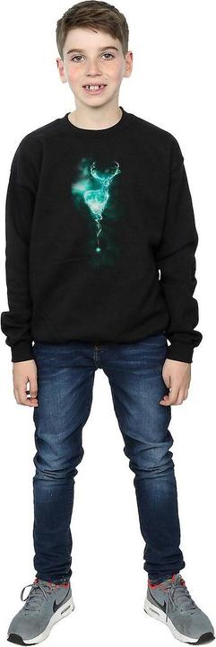 Immagine prodotto Felpa da ragazzo Patronus Mist (128)