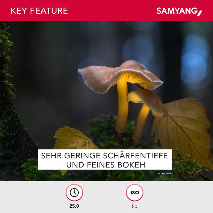 Produktbild Samyang 135mm f/2 ED UMC, Sony E (Sony E, Vollformat)
