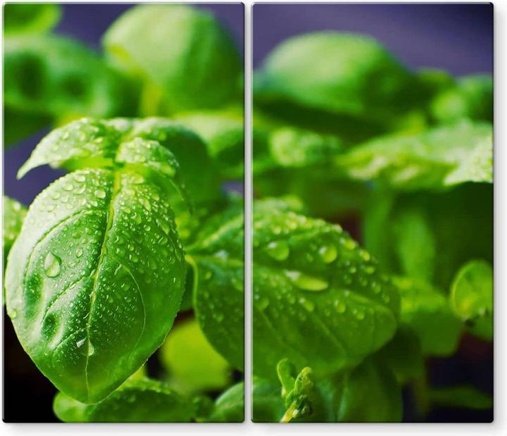 Image du produit Trenddeko Basilic frais