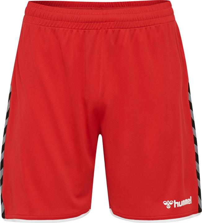 Actual product image hummel Authentic Poly Shorts (XL)
