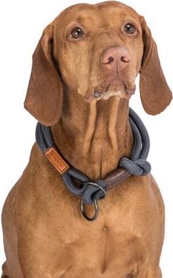 Produktbild Trixie BE NORDIC Zug-Stopp-Halsband (XS, Hund, Hundesport)