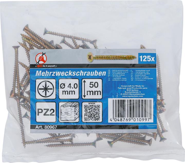 Image du produit BGS Vis multifonctions cruciforme PZ2 4,0 x 50 mm 125 pièces (125 Vis par pièce)