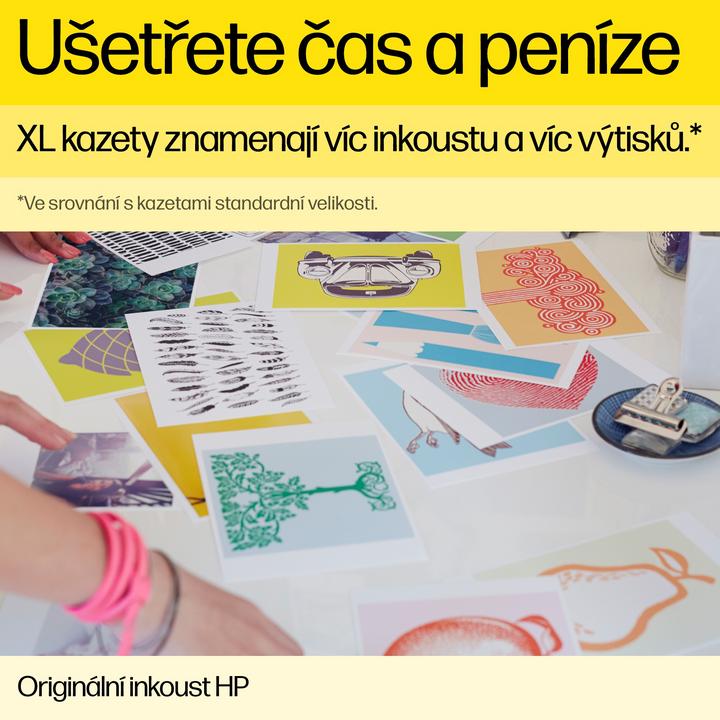 Image du produit HP 70 (LGY)