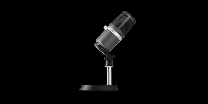 Image du produit AVerMedia Microphone, AM310 USB