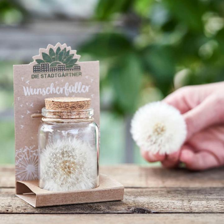 Actual product image Natura Punto Dandelion (Ø 4 x 8 cm)