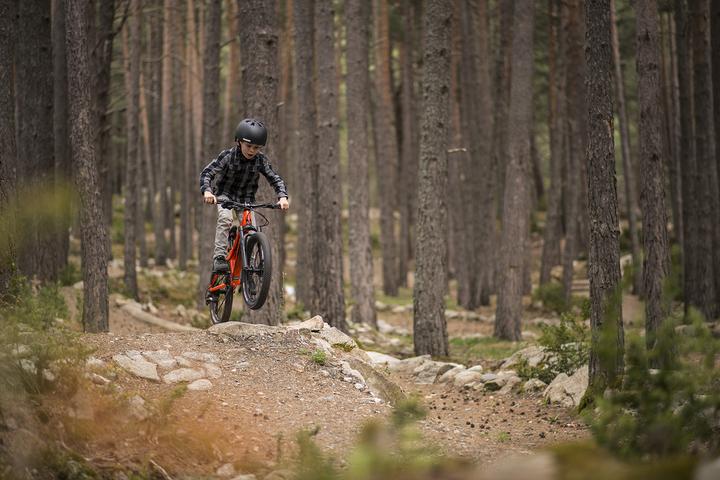 Immagine prodotto Commencal Meta HT (20")