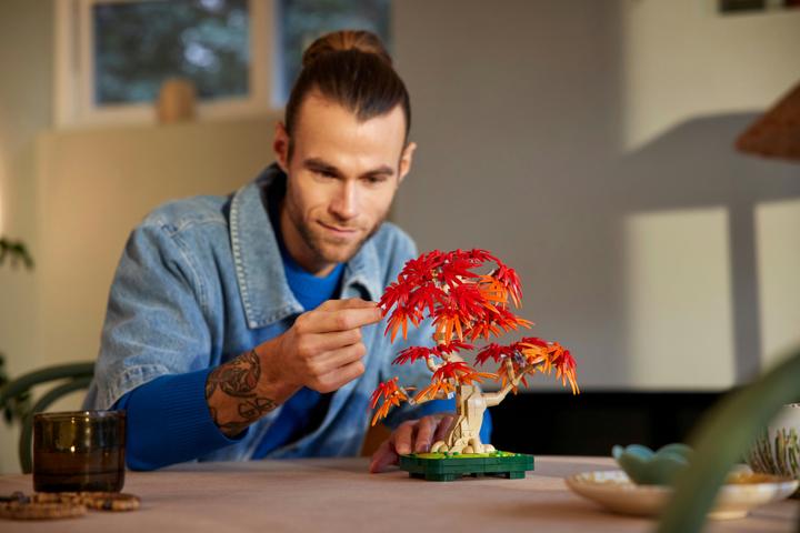Actual product image LEGO Japanischer Roter Ahorn - Bonsai-Baum (10348, LEGO Botanical)
