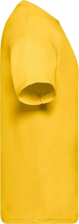 Actual product image Fruit of the Loom Mens Original T-Shirt (L)