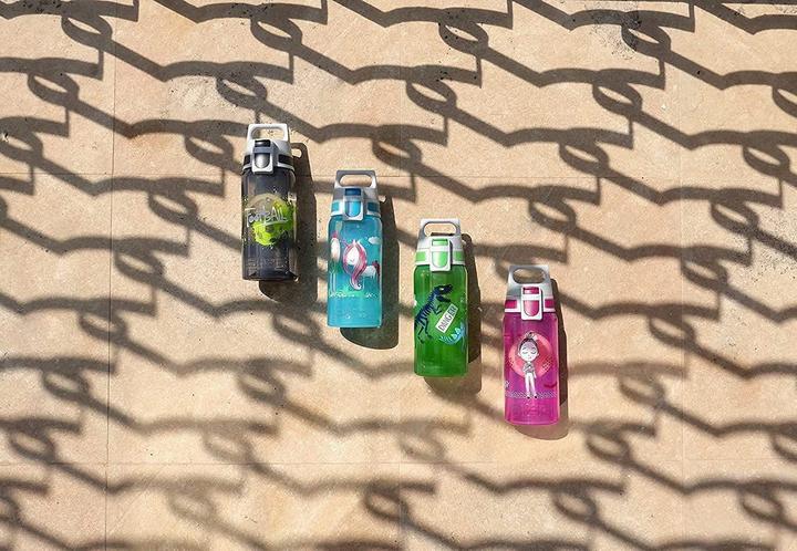 Actual product image Sigg Viva One (0.50 l)