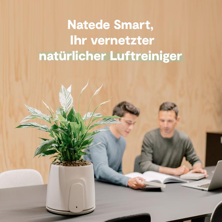 Image du produit Vitesy Natede Smart (20 m²)