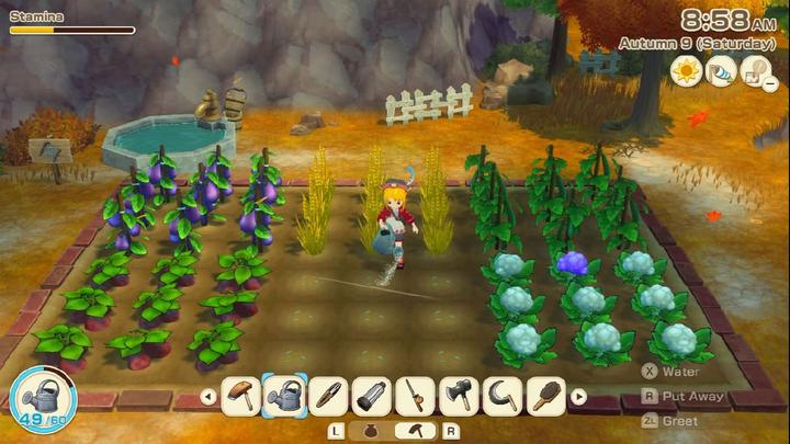 Immagine prodotto Marvelous Story of Seasons: Grand Bazaar LE SWITCH Limited Edition (Switch, DE)