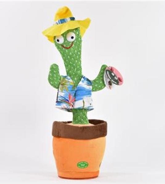 Produktbild Kögler Tanzender Kaktus (34 cm)