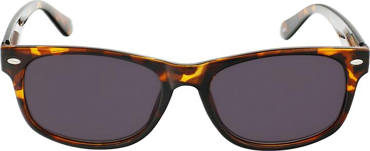 Produktbild Invu Sonnen Lesebrille (+1)