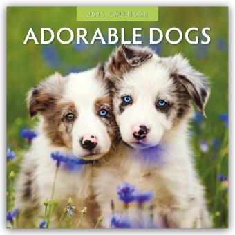 Immagine prodotto Red Robin Publishing Ltd:Cani adorabili (305 x 305 mm, Tedesco, Inglese)