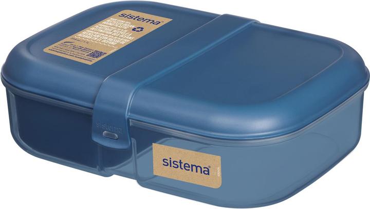 Actual product image Sistema Lunchbox Ribbon recycled PP 1.1 l assorted
