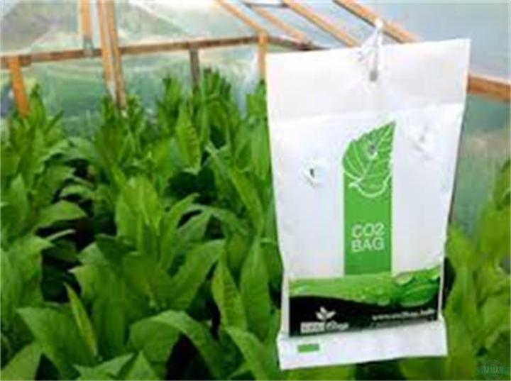 Image du produit CO2 Bag Le cultivateur de sacs