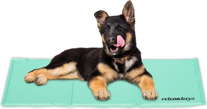 Actual product image Relaxdays Cooling mat dog (Dog)