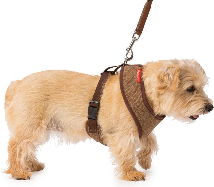 Immagine prodotto House Of Paws Pettorina per cani MemoryFoam Tweed (S, Cane, Generale)