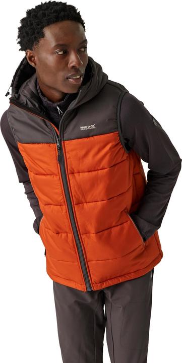 Immagine prodotto Regatta Nevado Gilet Imbottito Pesante Senza Maniche Uomo (XL)