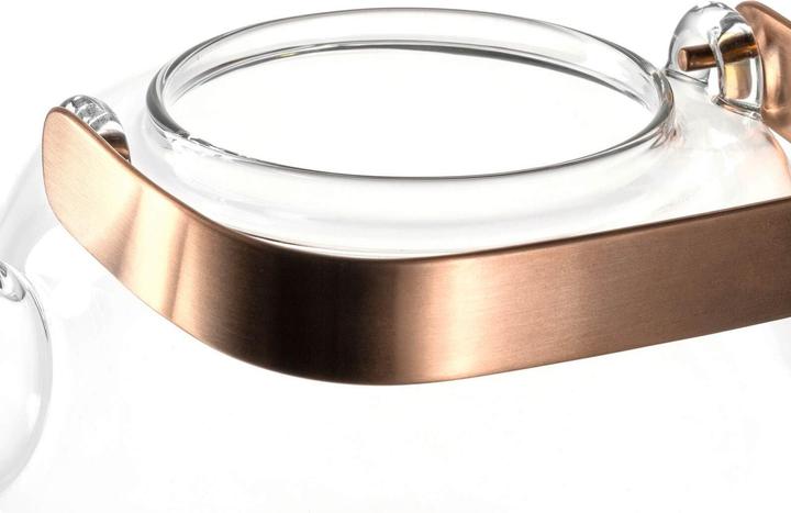 Actual product image Leonardo Teapot Tè per te 1.2 l, Transparent (1.20 l)