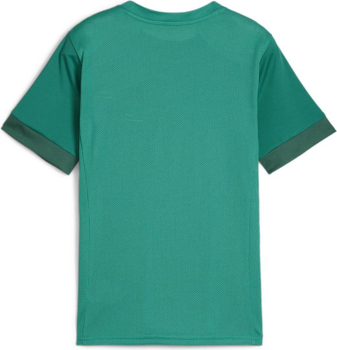 Actual product image Puma teamGOAL Matchday Jersey jr (128)