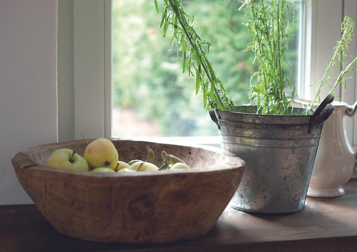 Actual product image JanKurtz Pot
