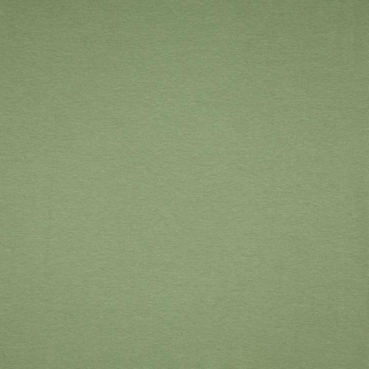 Immagine prodotto Stoffrestposten Polsino a costine sottili - Scuro, vecchio, menta - Quantità minima di vendita: 1 metro