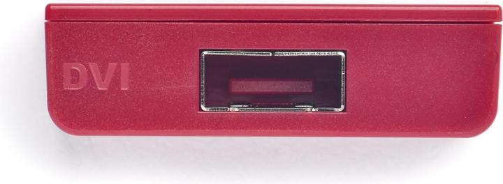 Image du produit Smart Keeper Verrouillage de port DVI de base
