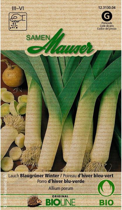 Samen Mauser Germoglio organico porro blu verde inverno (Pianta bulbosa)