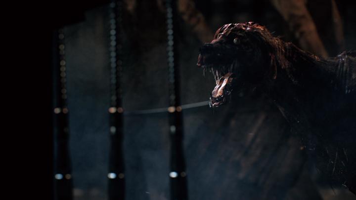 Actual product image Sony Bloodborne GOTY Edition (PS4, Multilingual)