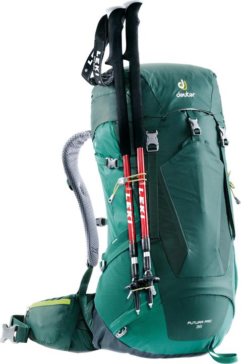 Image du produit Deuter futura pro (36 l)