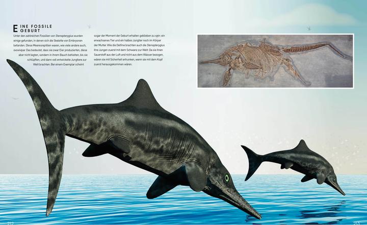 Actual product image National Geographic Das ultimative Buch der Dinosaurier. Die umfassendste Enzyklopädie aller Zeiten (German, Emanuela Pagliari, Banfi Cristina, 2023)