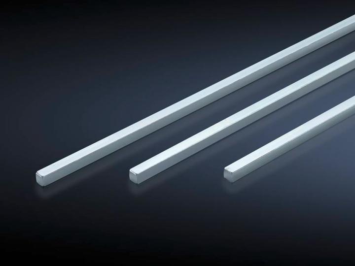 Actual product image Rittal Locking device 4920000