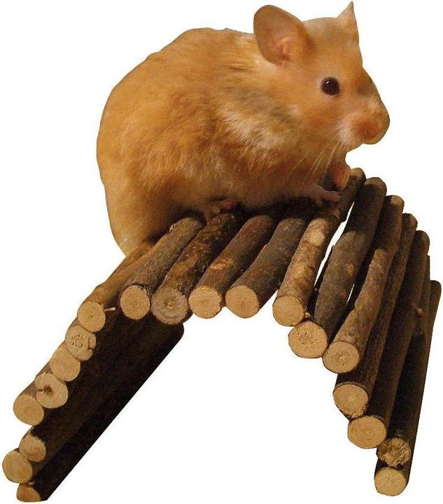 Actual product image Kerbl Willow bridge for rodents