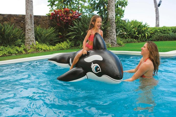 Actual product image Intex Whale