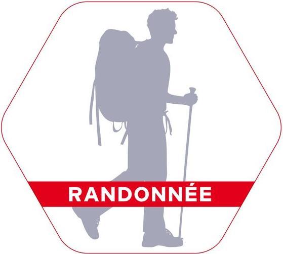 Produktbild Bleuforêt Wandersocken Coolmax (43 - 46)