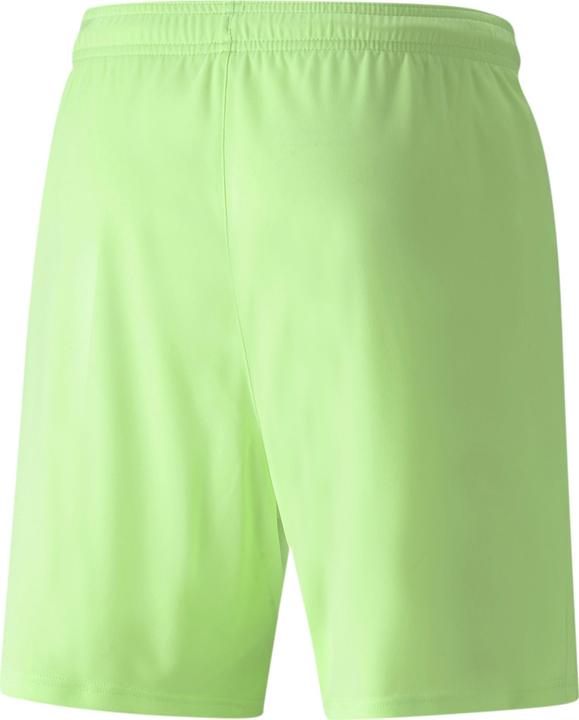 Actual product image Puma teamLIGA shorts (XXL)