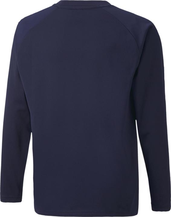 Actual product image Puma teamLIGA Training Sweat Jr-657239 (140)