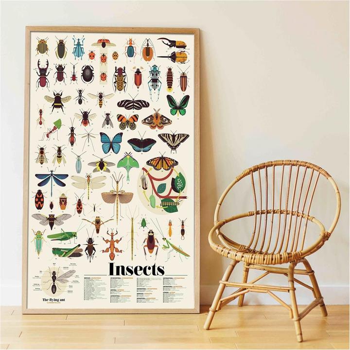 Immagine prodotto Poppik Poster didattico con adesivi Insetti