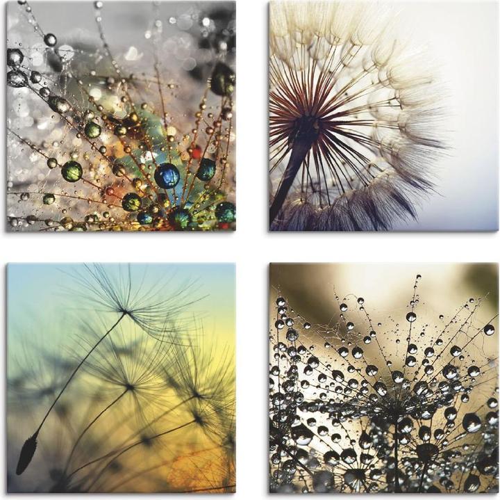 Produktbild Artland Pusteblume,Nahaufnahme Löwenzahn J4XD (30 x 30 cm)