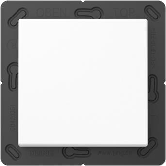 Actual product image JUNG Radio wall transmitter