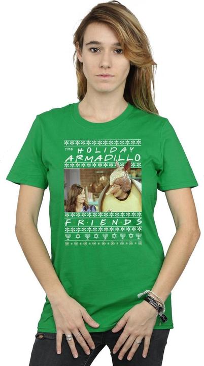 Actual product image Friends Womens/Ladies Fair Isle Holiday Armadillo Cotton Boyfriend T-Shirt (L)