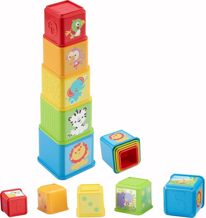Actual product image Fisher-Price Stack & Explore Blocks